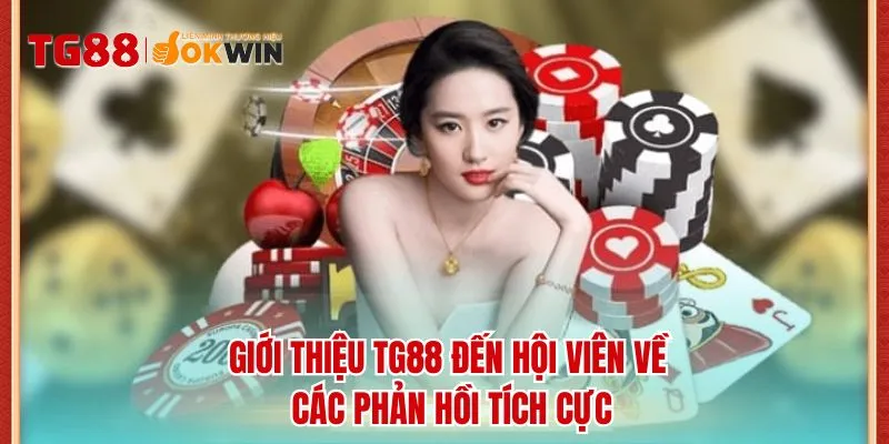 Giới thiệu TG88 đến hội viên về các phản hồi tích cực